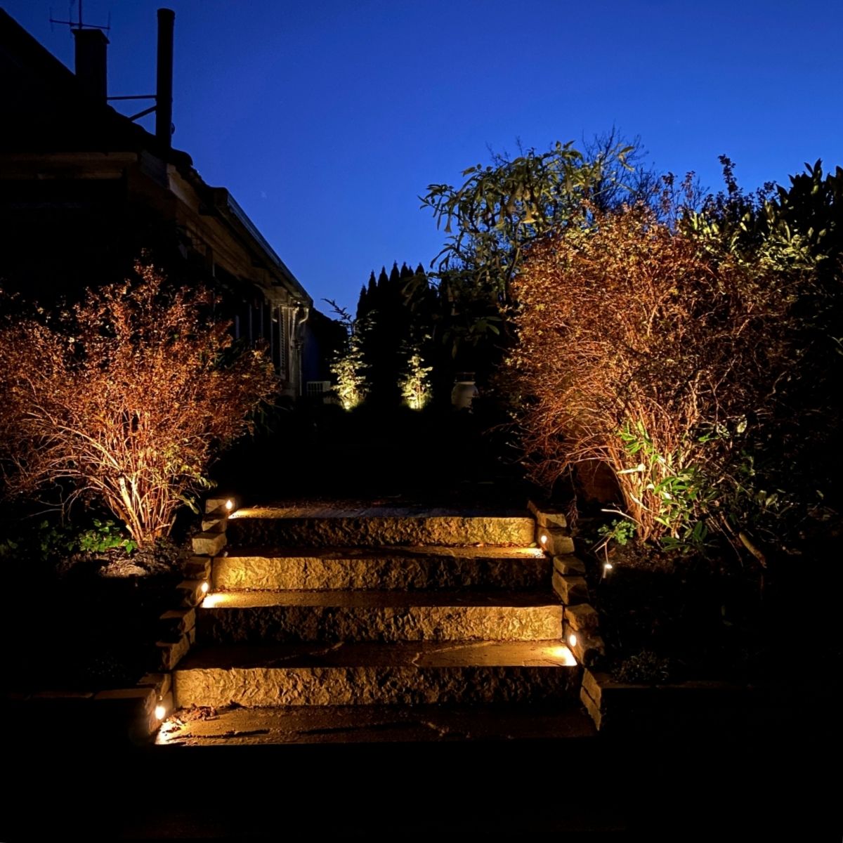 Spar 30 % Indbygningsspot Cosmos i rustfrit stål 10 stk Garden Weekend🌿