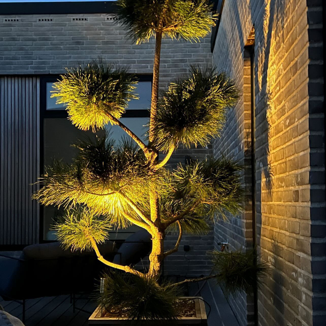 Bedlampe Juulius 3 i rustfrit stål