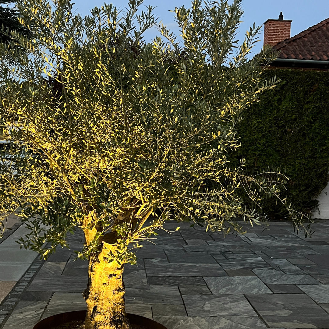 Bedlampe Juulius 3 i rust