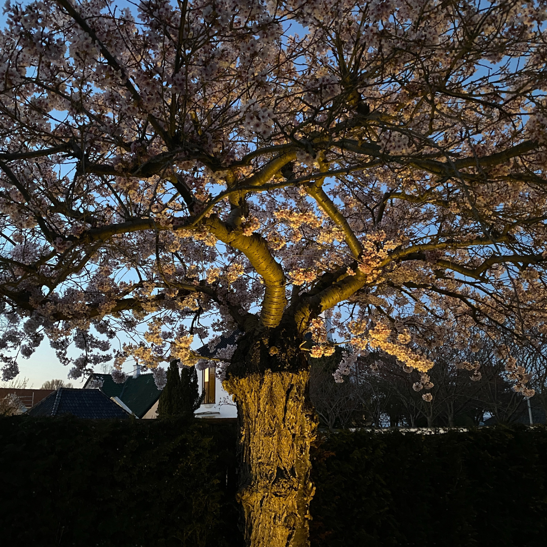 Bedlampe Juuliane i rustfrit stål