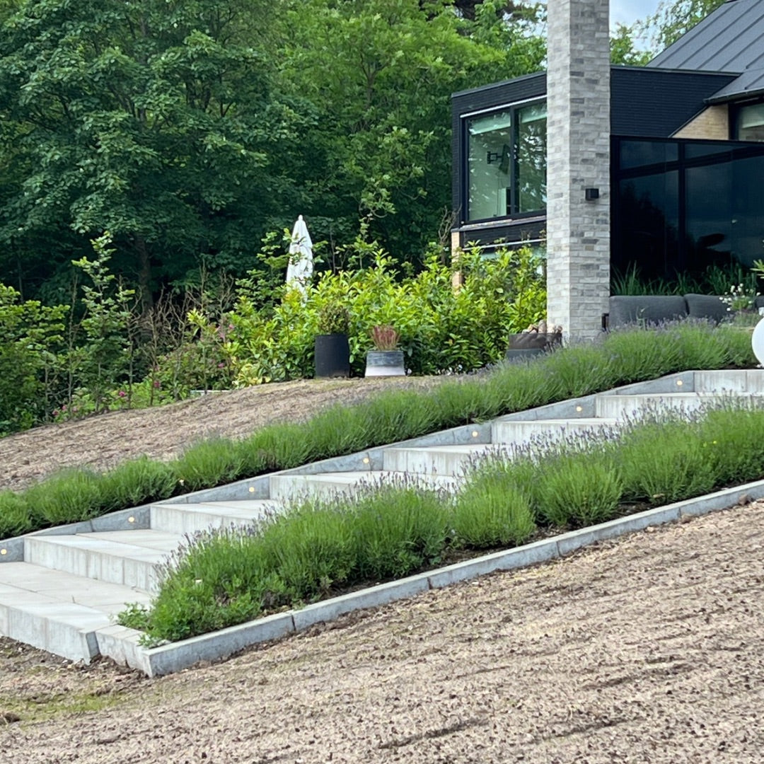 BLACK WEEK - Indbygningsspot samlet kit/Skumringsrelæ - Cosmos i rustfrit stål - 10 stk