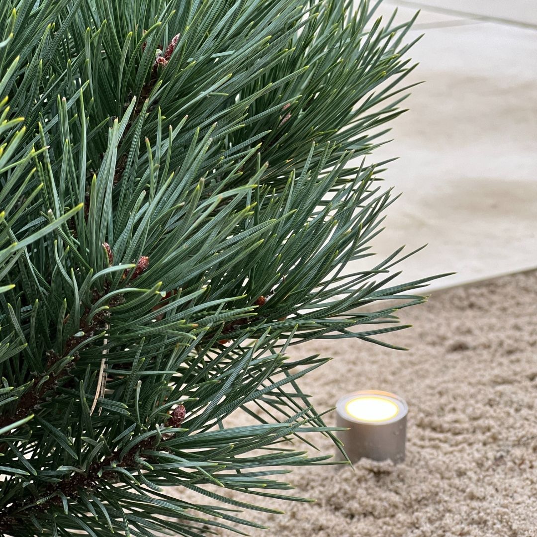 Bedlampe Cosmos i rustfrit stål 2 stk