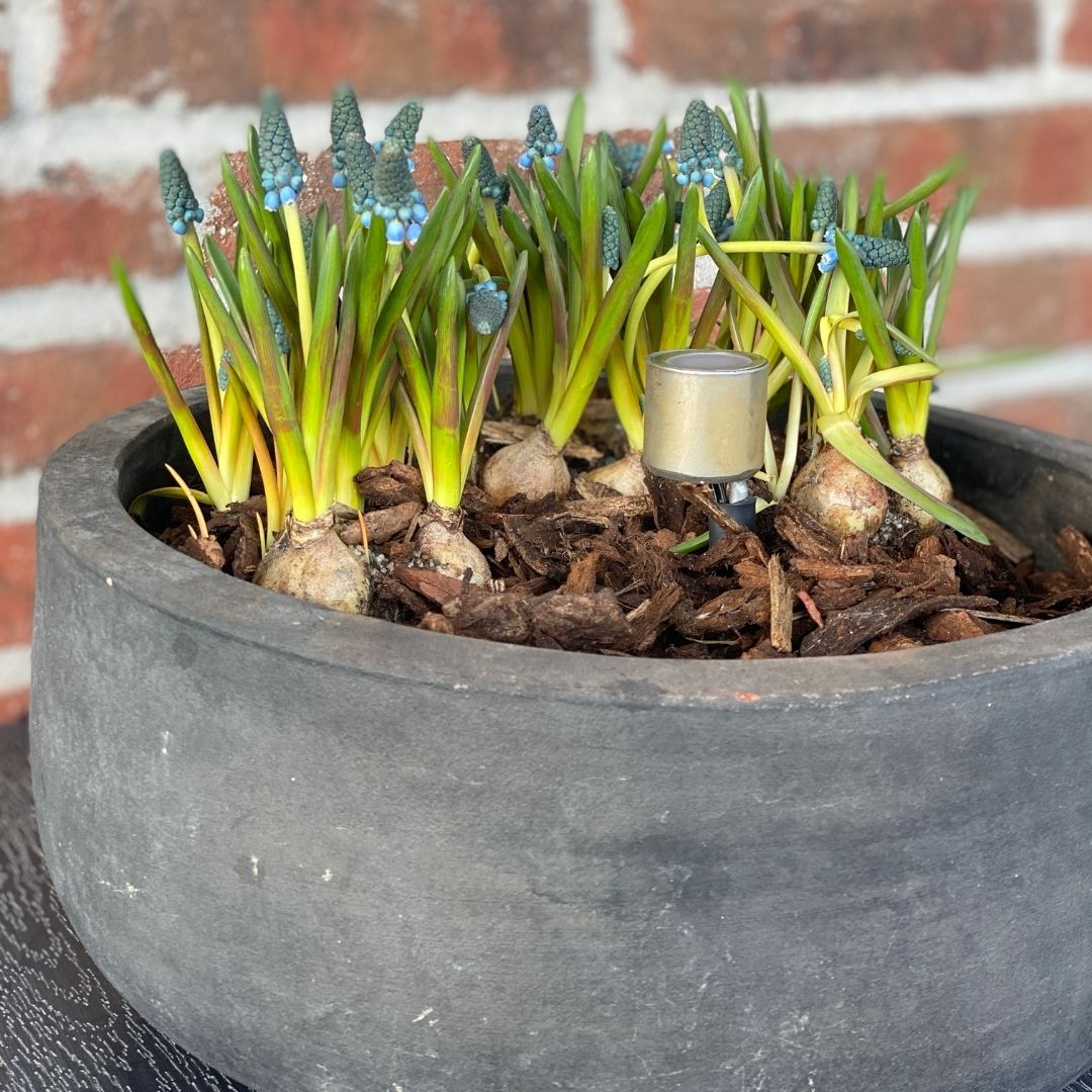 Bedlampe Cosmos i rust 2 stk