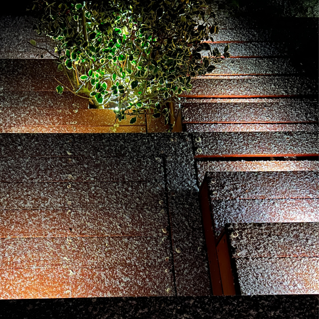 Saga i sort - 12 stk Indbygningsspot samlet kit/Skumringsrelæ