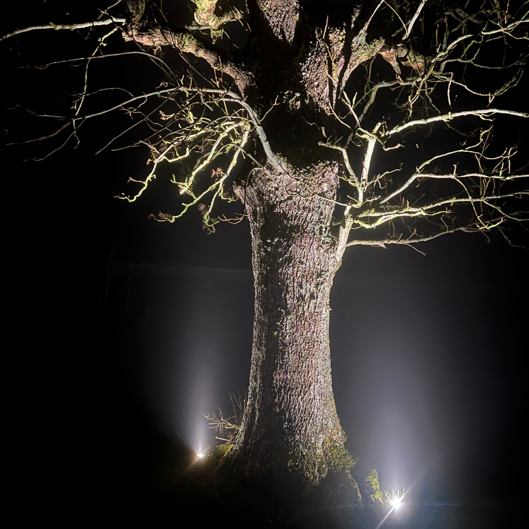 Bedlampe Juuliane i rust