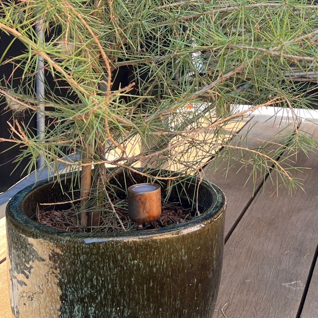Bedlampe Cosmos i rust 2 stk
