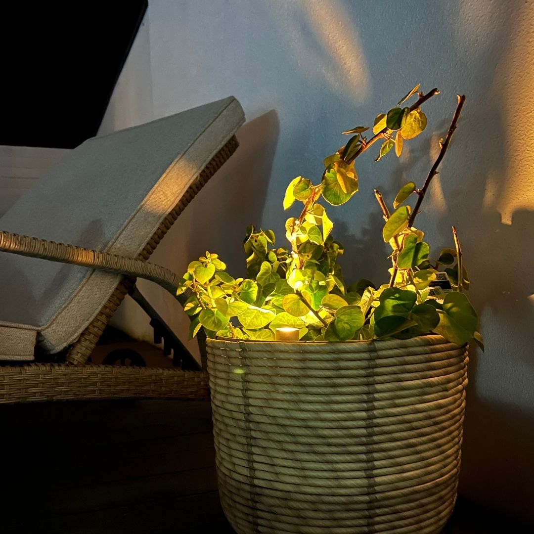 Bedlampe Cosmos i rustfrit stål 2 stk