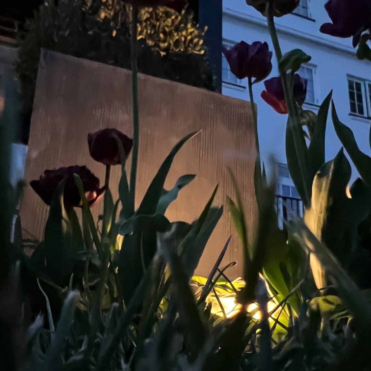 Bedlampe Cosmos i rust 2 stk
