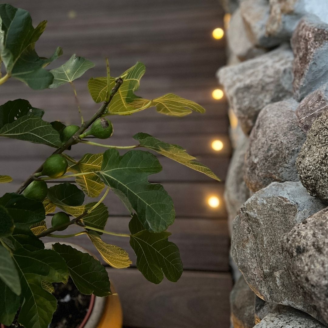 Spar 30% Indbygningsspot Cosmos i sort 1 stk Garden Weekend 🌿