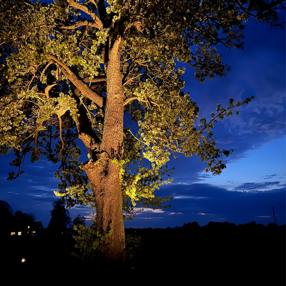 Bedlampe Juuliane i rustfrit stål