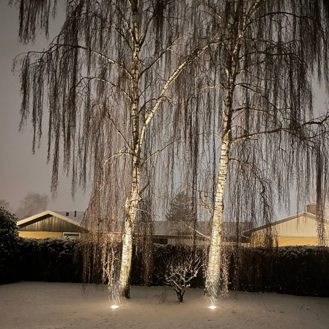 Pigsten Juuliane i rustfrit stål