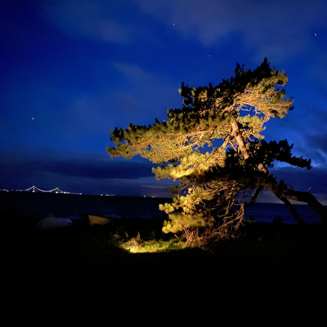 Bedlampe Juuliane i rustfrit stål