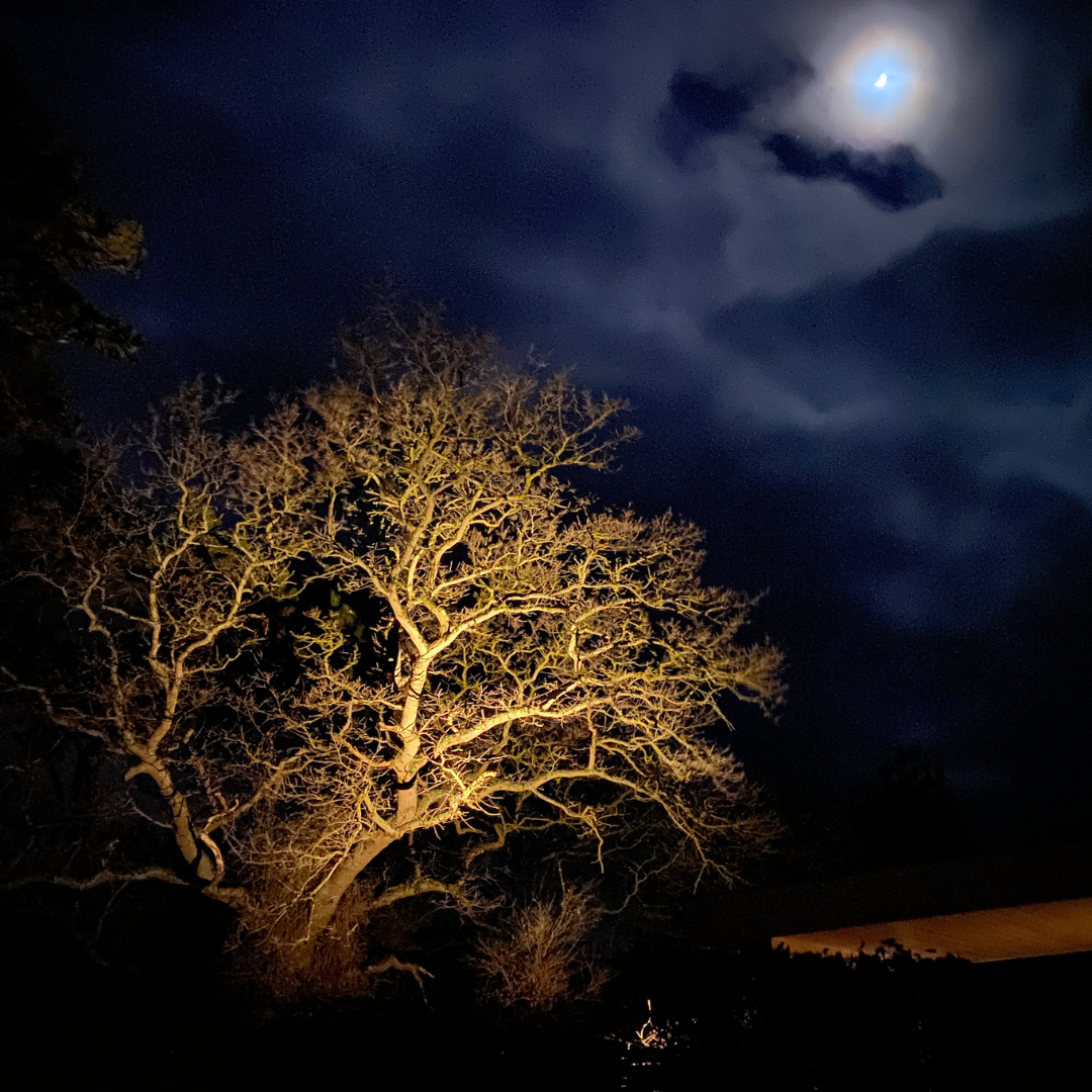 Bedlampe Juuliane i rustfrit stål