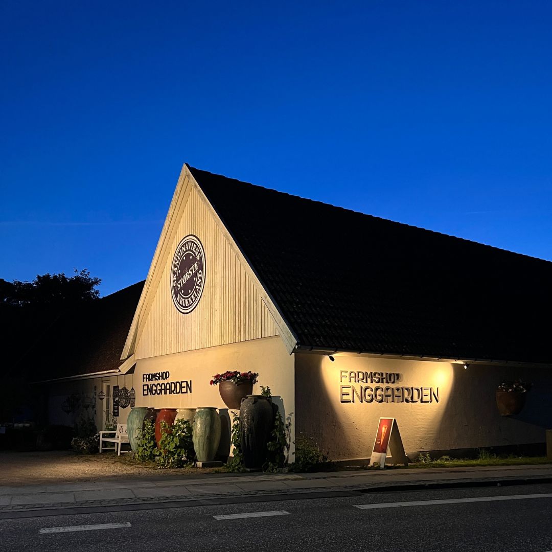 Diamond Spot - Medium