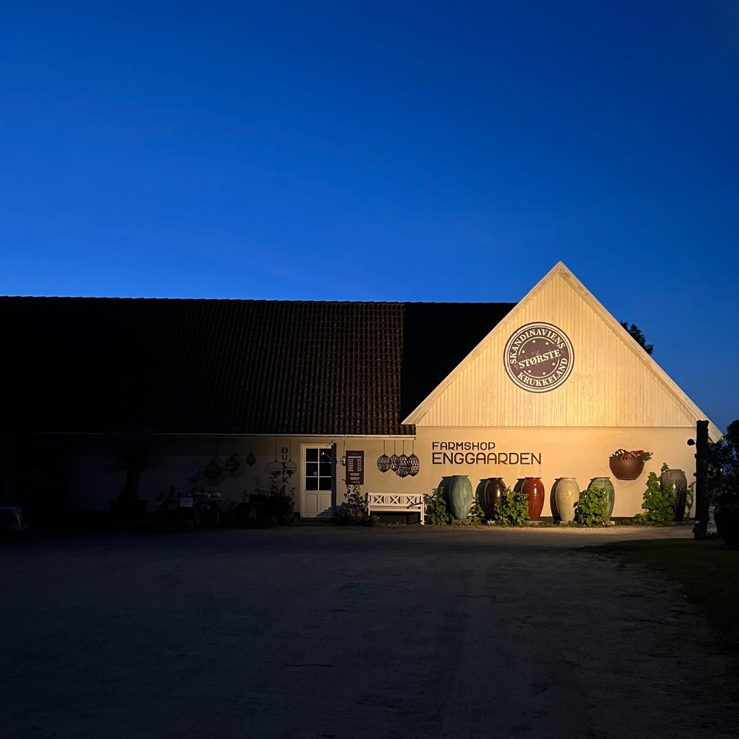 Diamond Spot - Medium