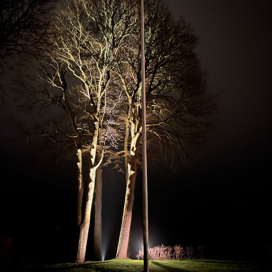 Gold Nedgravningsspot - Big