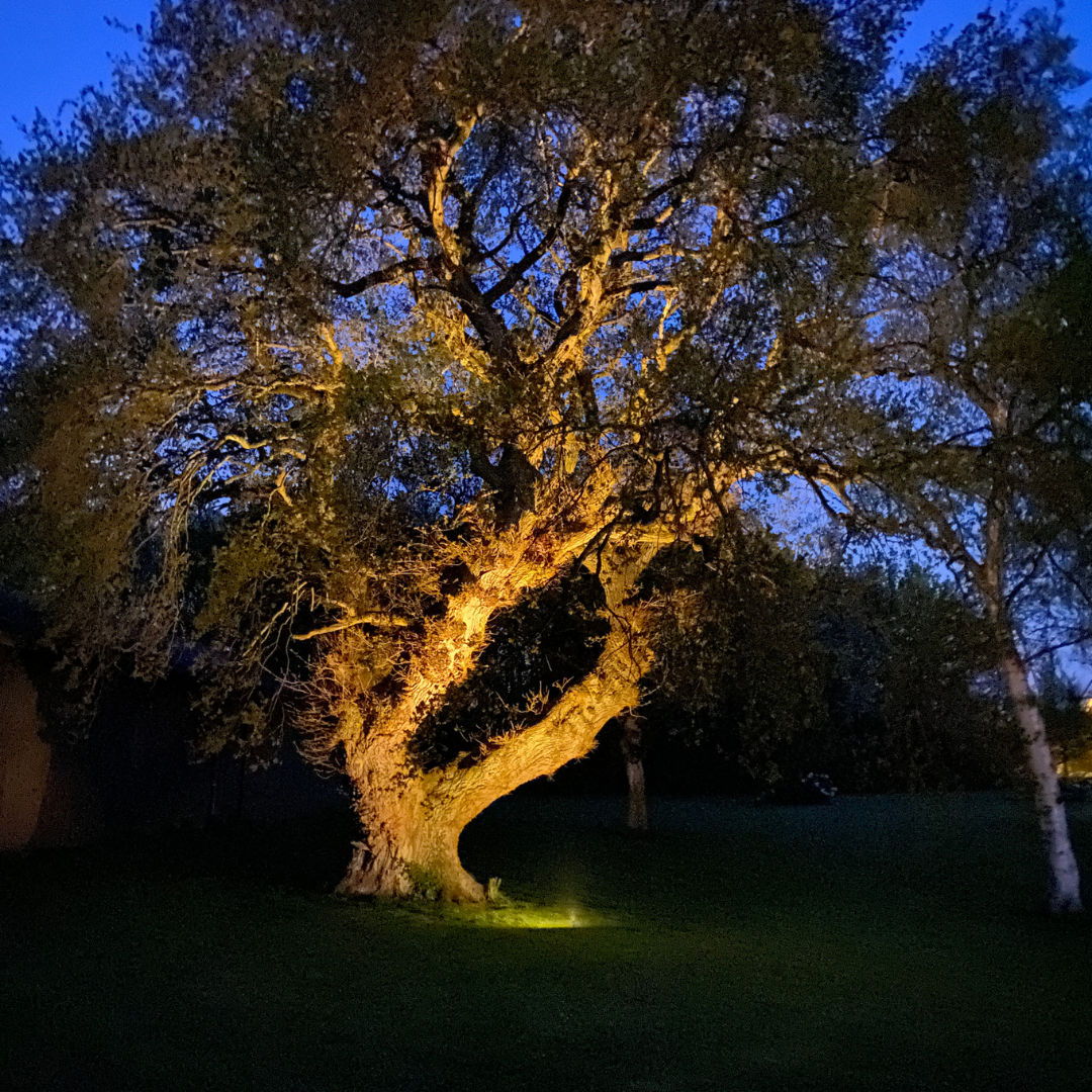 Spydlampe i rustfrit stål m. Juulius 3 spot